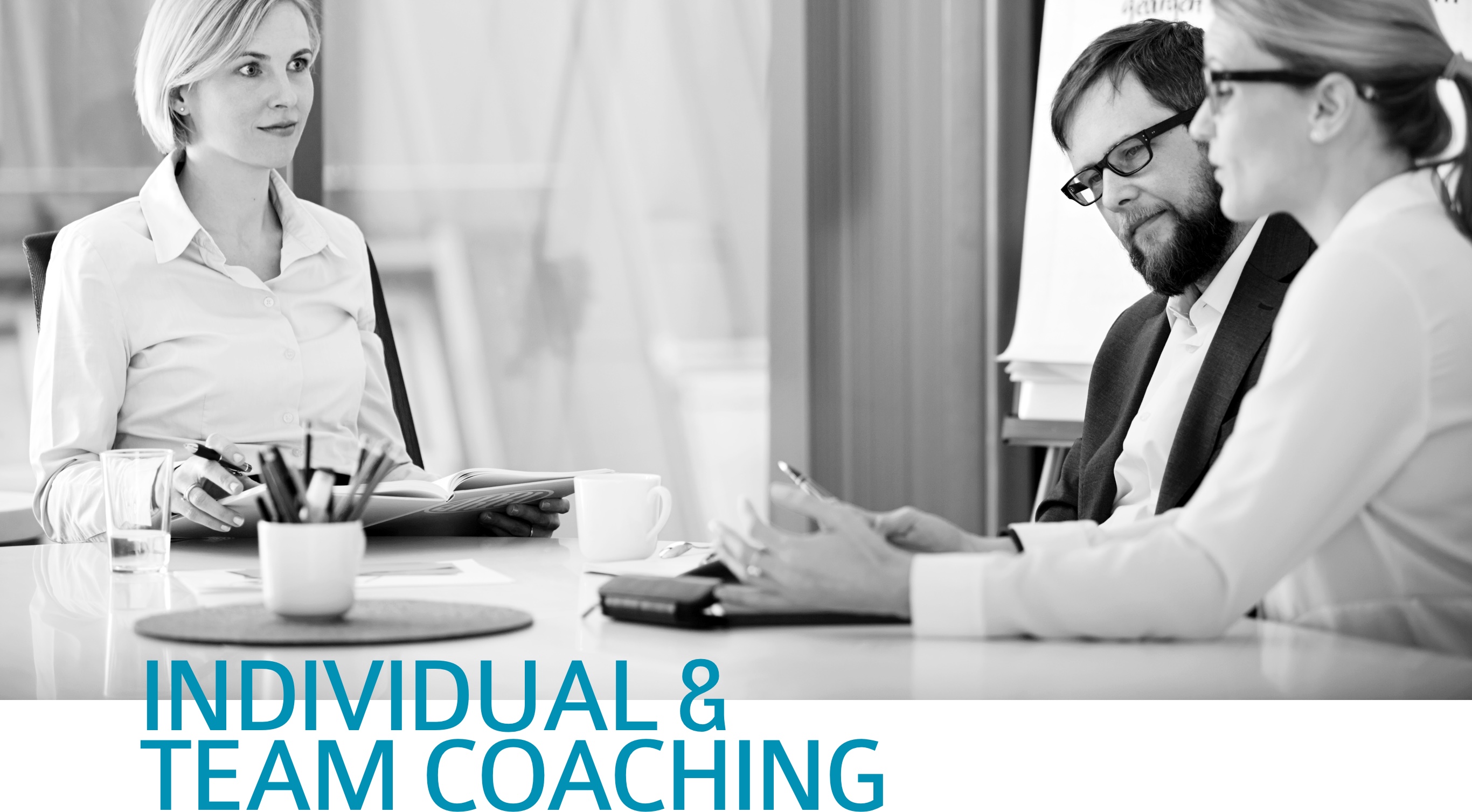 img_individual_teamcoaching_EN